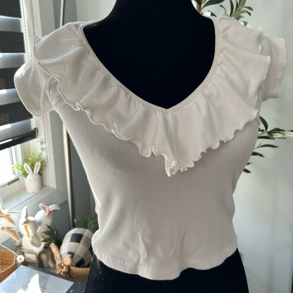 Aritzia Wilfred top